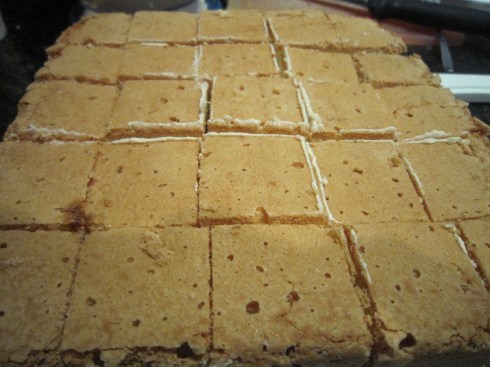 Sponge cut in squares