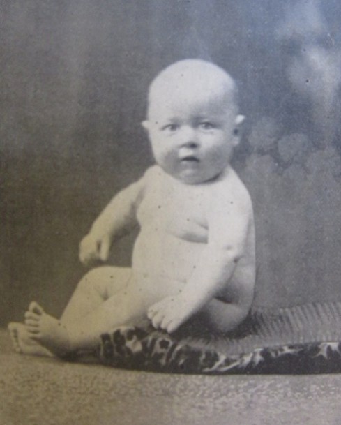 Baby from The Australian Household Guide